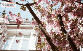 Spring - FBLIT-100.jpg