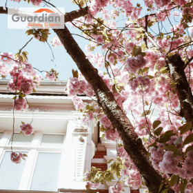 Spring - IG-100.jpg