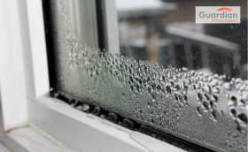 Condensation - FBLIT-100.jpg